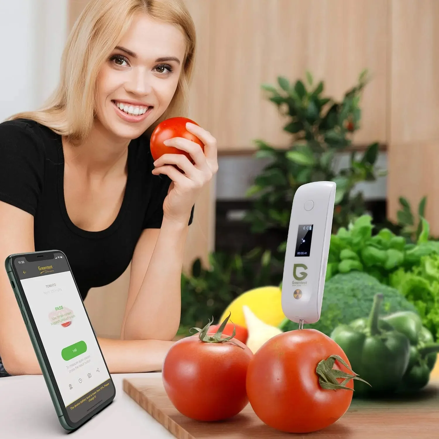 Greentest Mini Portable Digital Nitrate Fruit Tester Geigor Counter Water TDS Me