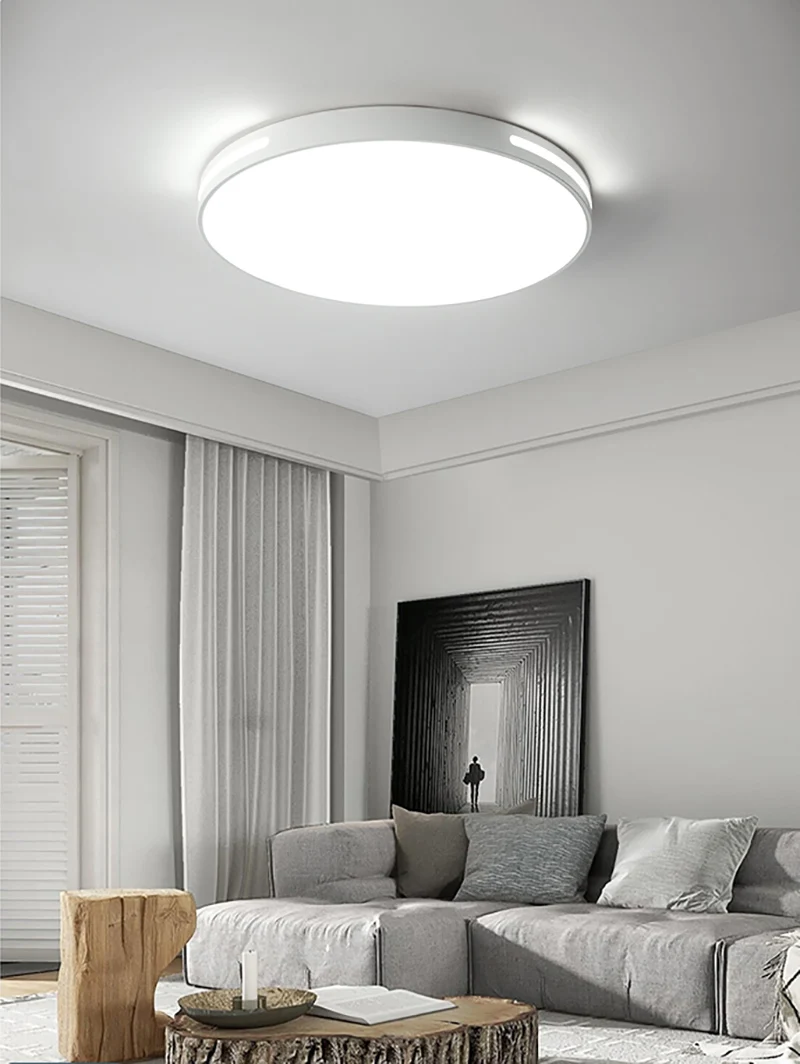 Nordic Bedroom Led Ceiling Lamp Modern Balcony Aisle Study Lighting Fixture Living Dining Room Industrial LED Lights Decorative ceiling lights for hall