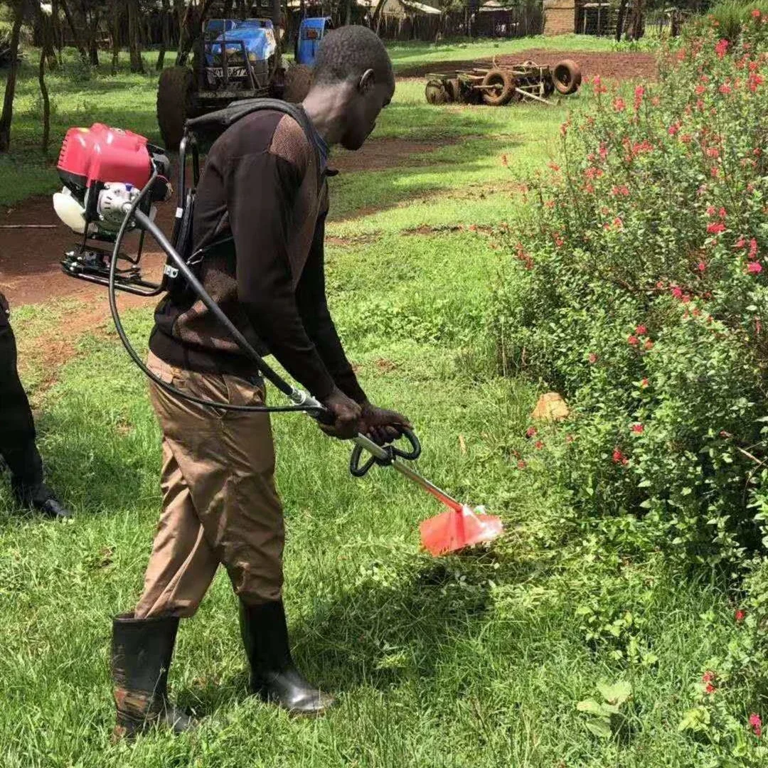 backpack mini weeding machine Multi-Purpose 4 Stroke Mini Portable Backpack Weeder Weeding & Harvesting  Magic