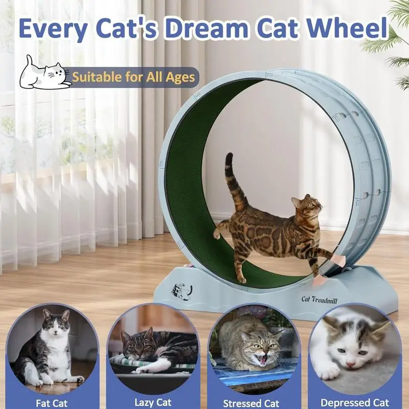 Running Wheel For Cats Quiet Workout Equipment For Kitten Large Cat Wheel Exerciser Indoors Safety Kitten Treadmill