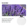 lavender-oil-only