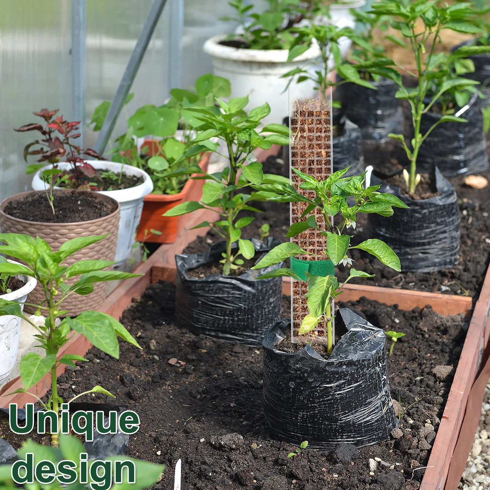 2-4-6Pcs-Moss-Pole-23-6-Inch-Reusable-Plastic-Plant-Pole-Stick-Transparent-Plant-Support.jpg 2/4/6Db Moss Pólus 23,6 Hüvelykes Újrafelhasználható Műanyag Növényi Átlátszó Tartó - Image 4