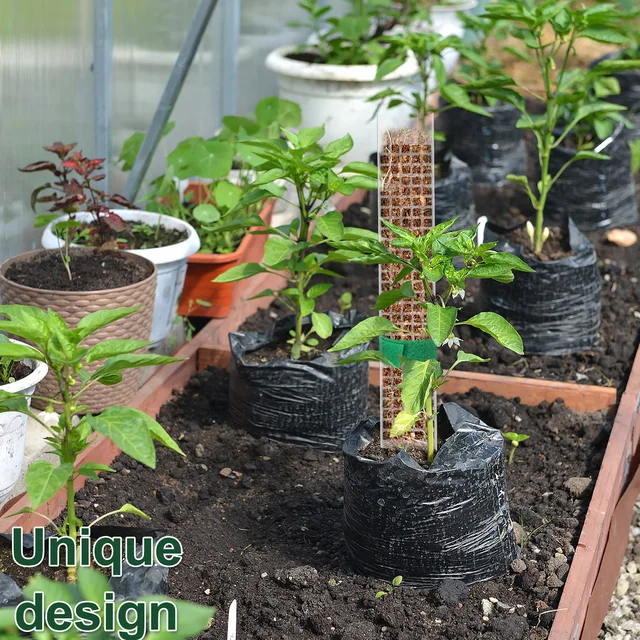 2/4/6Db Moss Pólus 23,6 Hüvelykes Újrafelhasználható Műanyag Növényi Átlátszó Tartó - Image 4