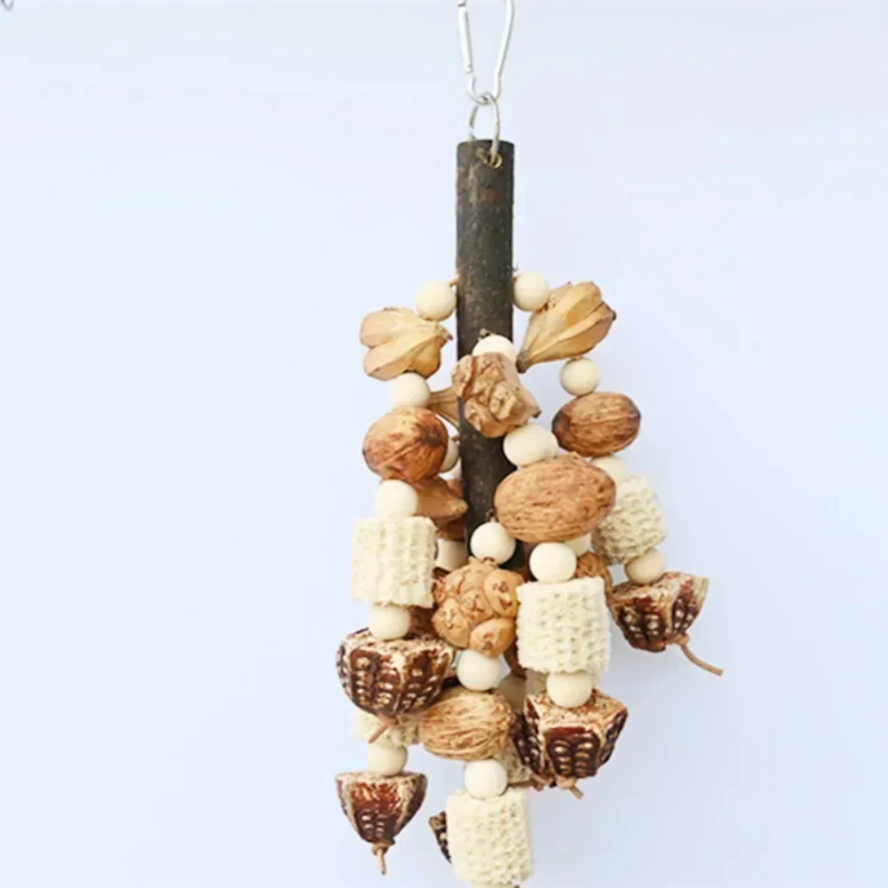 Bird Toys with Pinecones Cuttlefish Bones Beech Wood Nuts Teething Chew Toy For Parrot Parakeets Cockatiels Love Birds Supplies 4