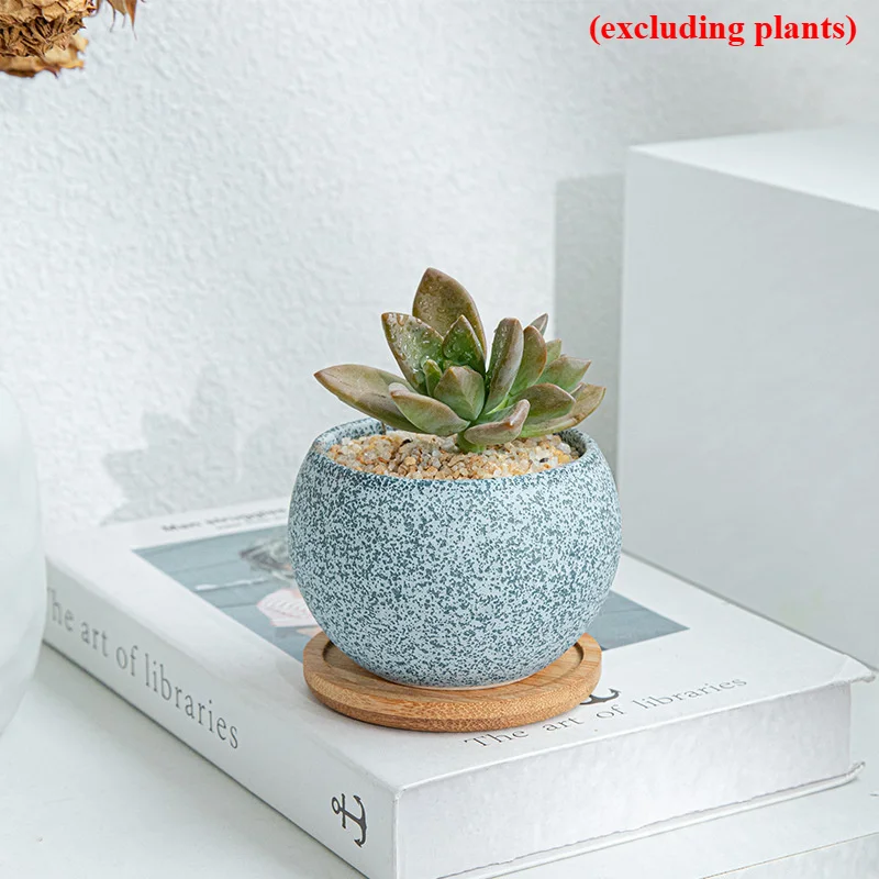 Charming Ceramic Flower Pot for Succulents - Creative Indoor & Outdoor Planter