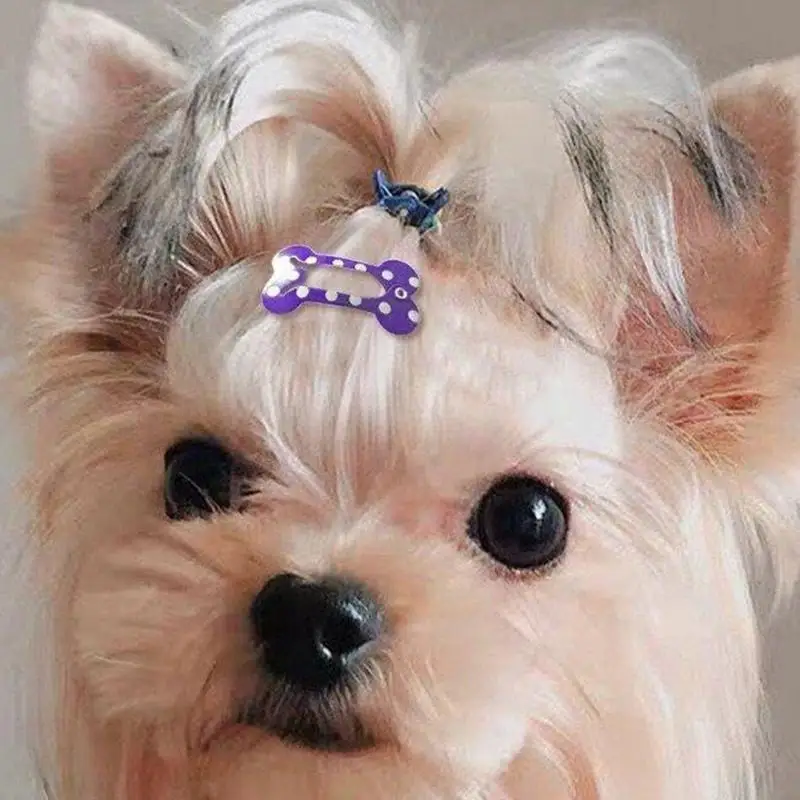 10pcs Bone Hair Clips Non Slip Dog Bone Pet Hair Clip Hairclips Metal Barrettes Accessories for Cosplay Party Pet Dogs
