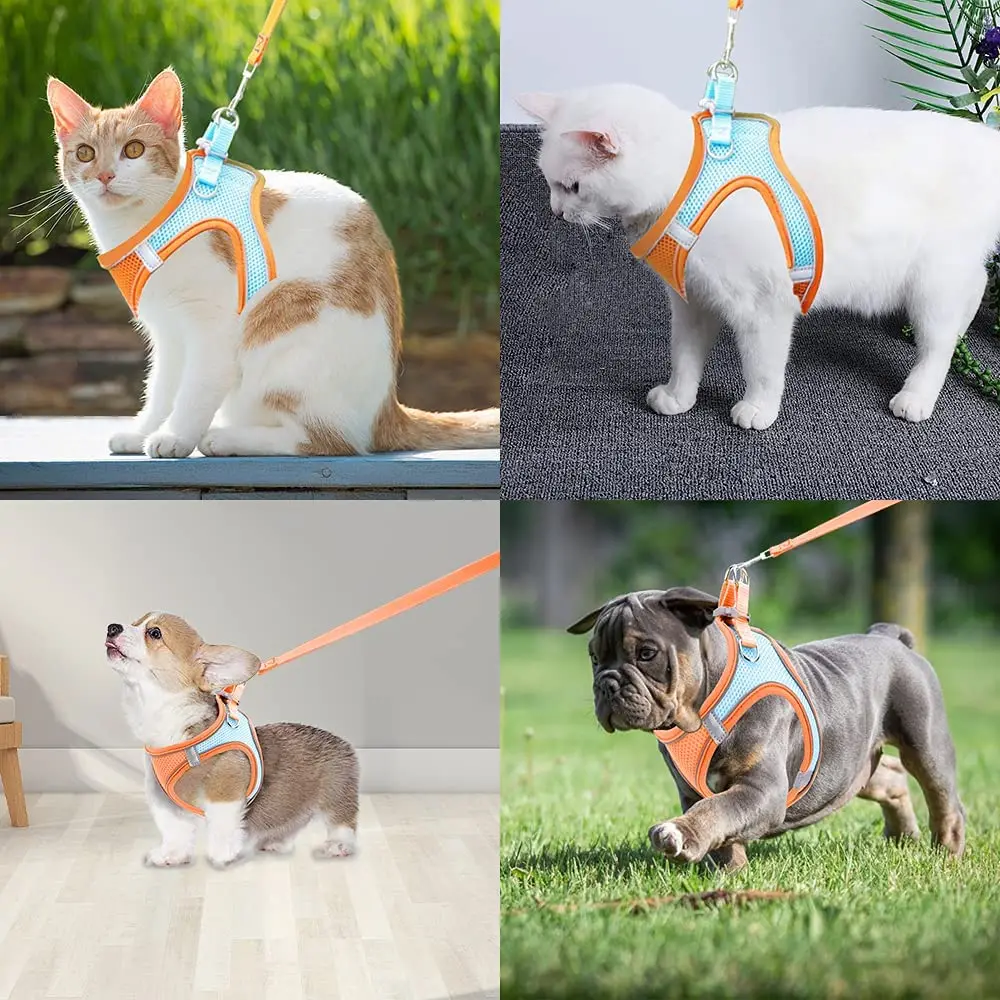 Pet Dog Harness and Leash Set Reflective Breathable Adjustable Comfort Puppy Harness Outdoors Travel Pet Supplies