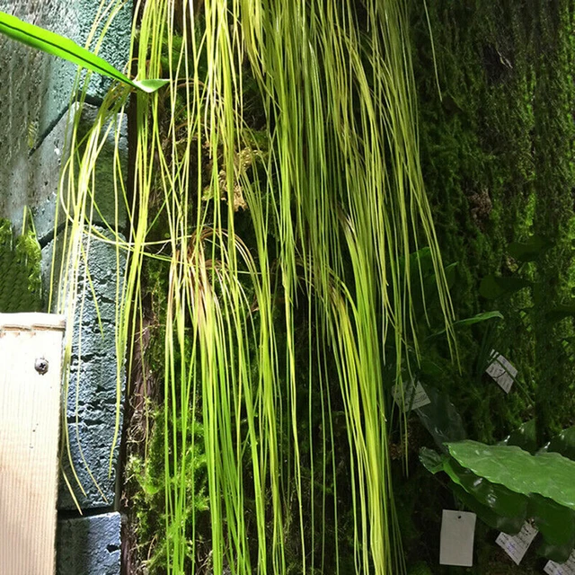 Simulazione di foglie di erba di plastica artificiale piante finte da appendere alla parete decorazione della casa Plantas Artificiales accessori per la casa 5