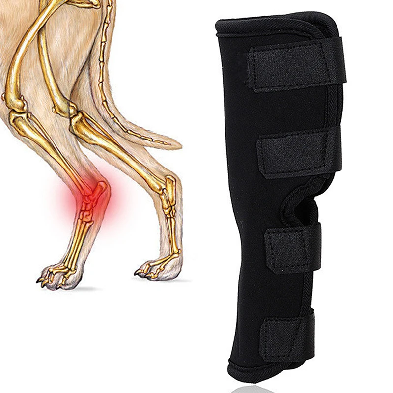 Pet Dog Bandages Dog Injurie Leg Knee Brace Strap Protection For Dogs