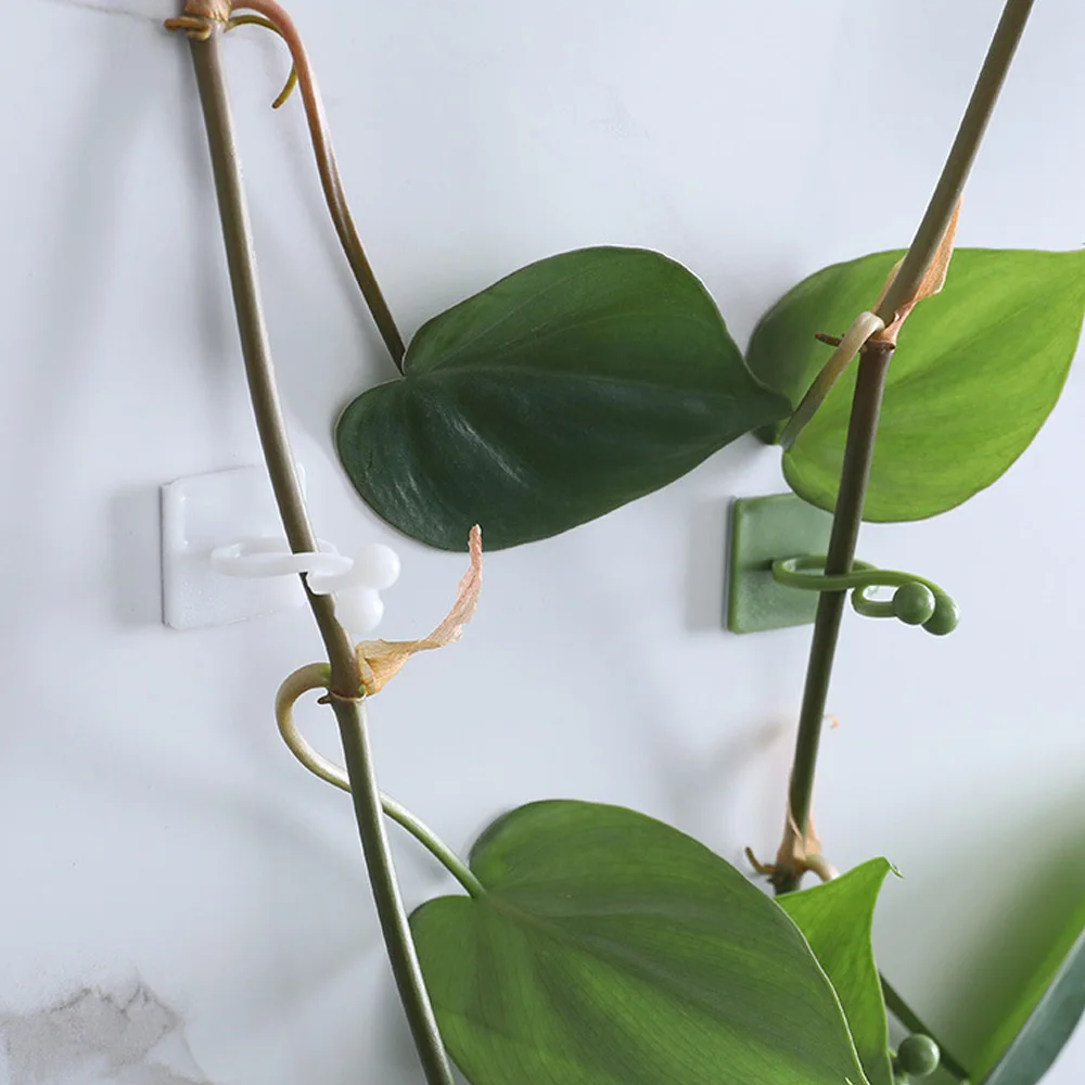 Plant ties, plastic plant cable ties, plant clips, plastic plant clips, plant adhesive hooks, plant wall hooks-20/60/80pcs Plant Climbing Self-adhesive Fixing Buckle, Fastener, Clip, Hook, Lashing Device