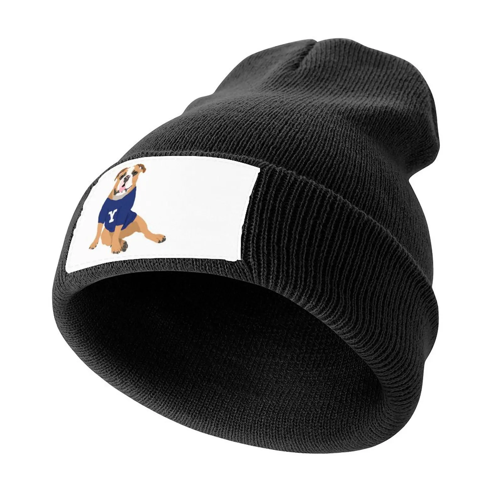 

Handsome Dan Sticker Knitted Cap Custom Cap Fashion Beach Sunscreen Men Hats Women's
