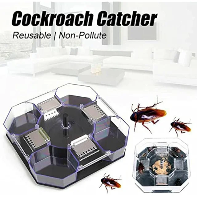 Csótánycsapda, Hatékony Kóach Csótány Csapda Fogó Doboz Rögzítés, Újrafelhasználható És Környezetbarát Csapdák Pókok Hangyák - Image 2