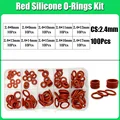 100pcs  CS 2.4