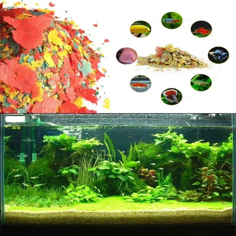 Fish food Fish Food Coloring and Brightening Feed High-nutrient Tropical Fish Growth Healthy Food Flakes