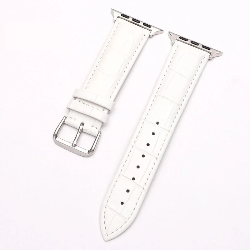  ġ  Ʈ, Ʈ 49mm, 8, 7, 6, 5, 4, 45mm, 41mm, 44mm, 40mm, 42mm Ʈ,  ü  ׼