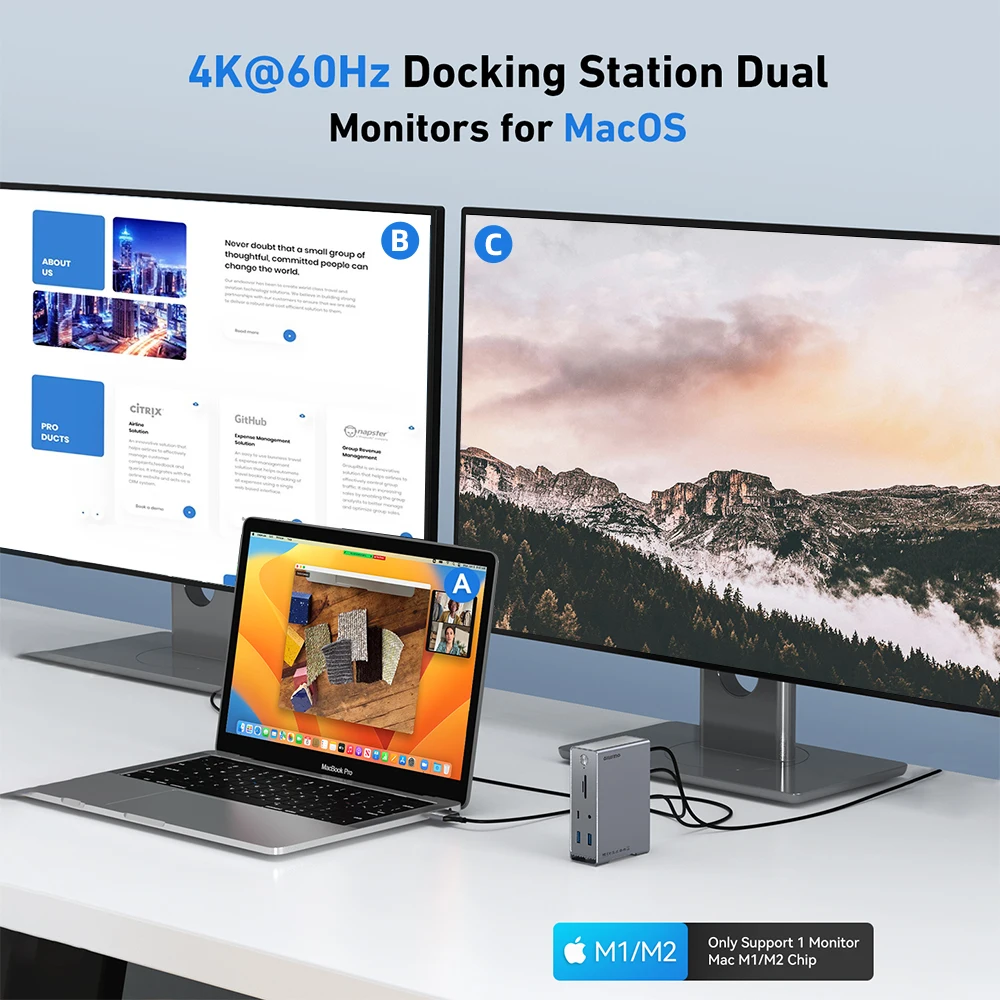 RayCue USB C 도킹 스테이션, 듀얼 HDMI 호환, 4K USB 3.2, 2 세대 이더넷, 100W PD USB 허브, SD/TF, 맥북 프로 M1 M2 프로용