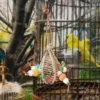 Bird Parrot Chew Toy Bird Chew Hang Toys Interactive Toys Turntable Stand Playing Cage Accessories Pet Supplies 3