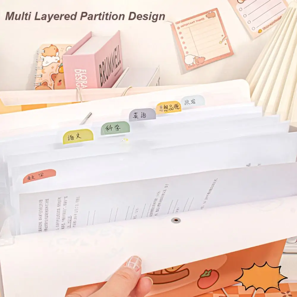 File Folder A4 8/12 Pockets Test Paper Storage Waterproof Classified Large Capacity Portfolio Organizer