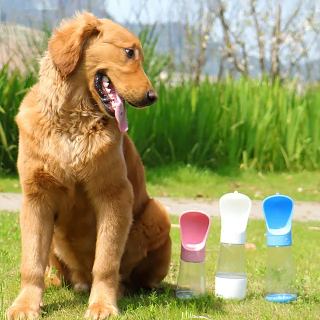 Two-in-one feeding and drinking pet water cup portable travel outdoor drinking fountain dog water cup kettle outdoor supplies 5