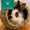 Natural Timothy Hay Tunnel for Small Pets - Edible Hideout, Chew Toy & Cage Accessory for Rabbits, Guinea Pigs, Chinchillas, Rats