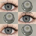HOLLAND-GRAY