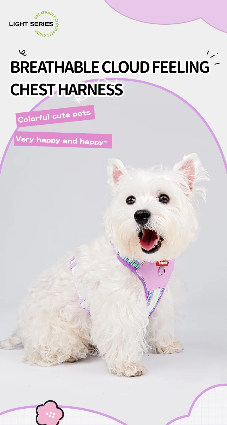Color Block Harness For Small Dogs Breathable Mesh Pet Walking Lead_voghion.com