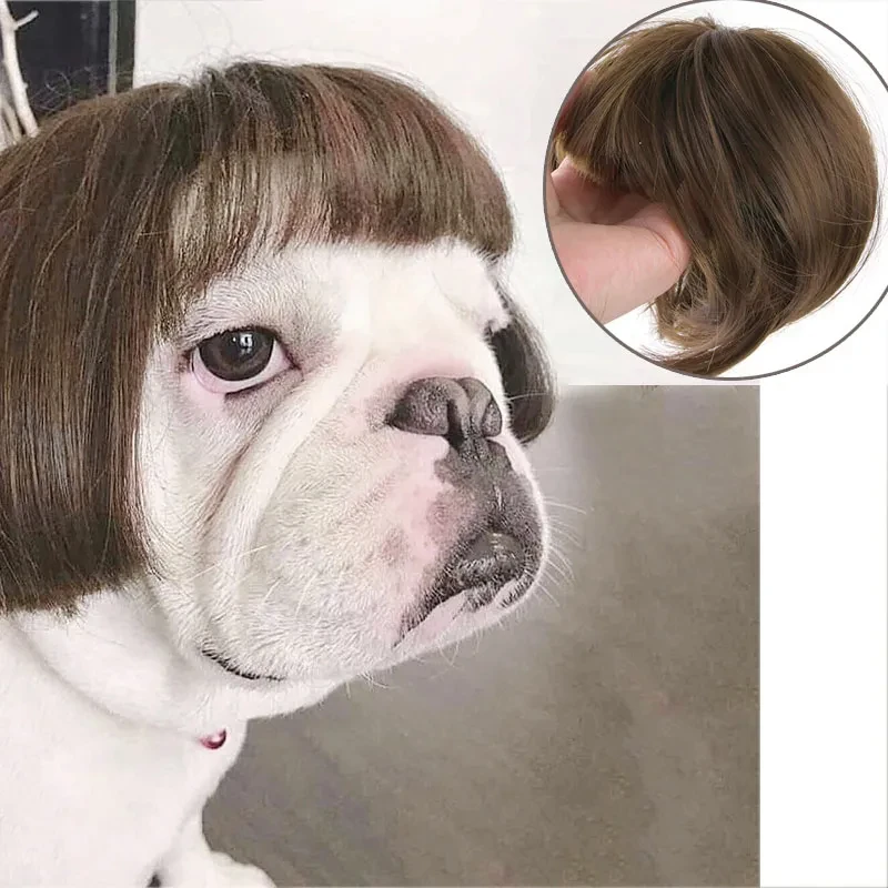 

Pet Wigs Cosplay Props Dog Cat Headdress Funny Pet Headwear Adjustable Elastic Band for Halloween Christmas Pet Costumes