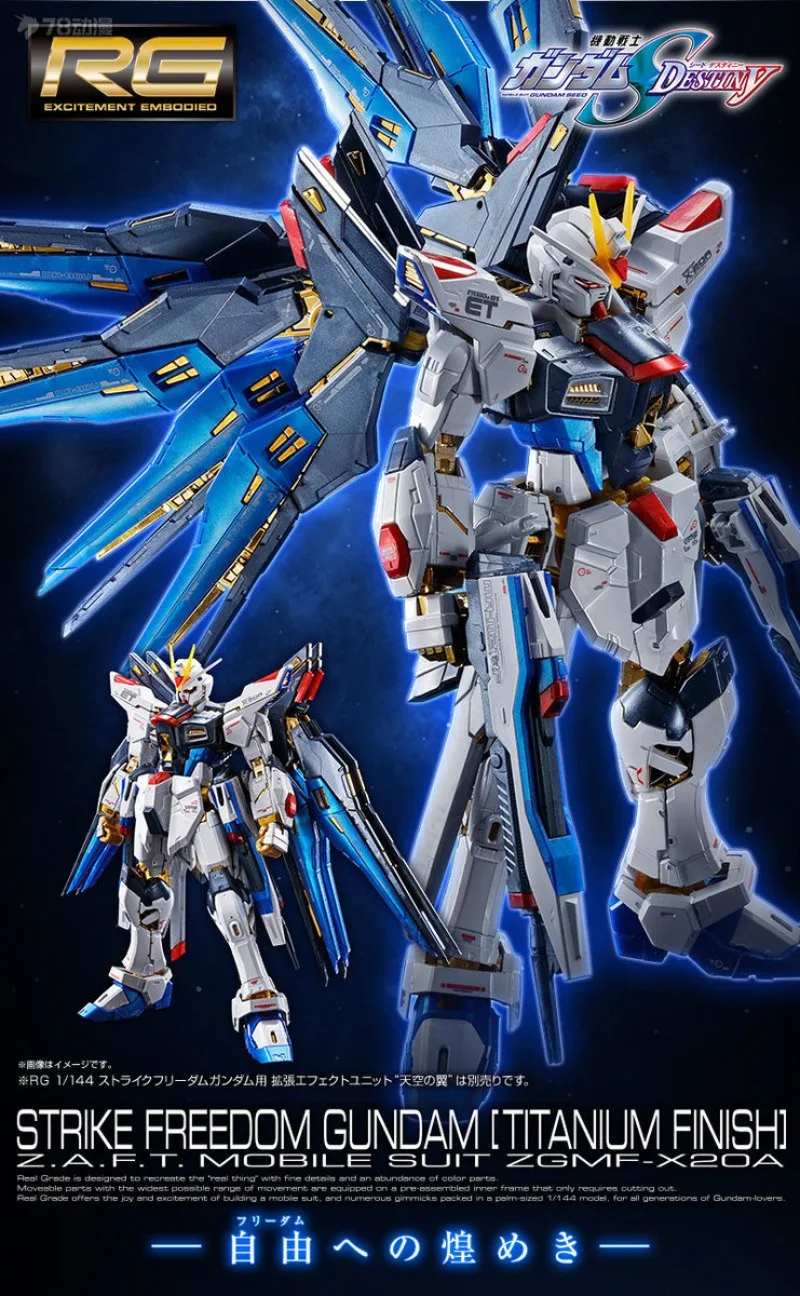 Bandai Genuine RG PB LIMITED STRIKE FREEDOM GUNDAM [TITANIUM