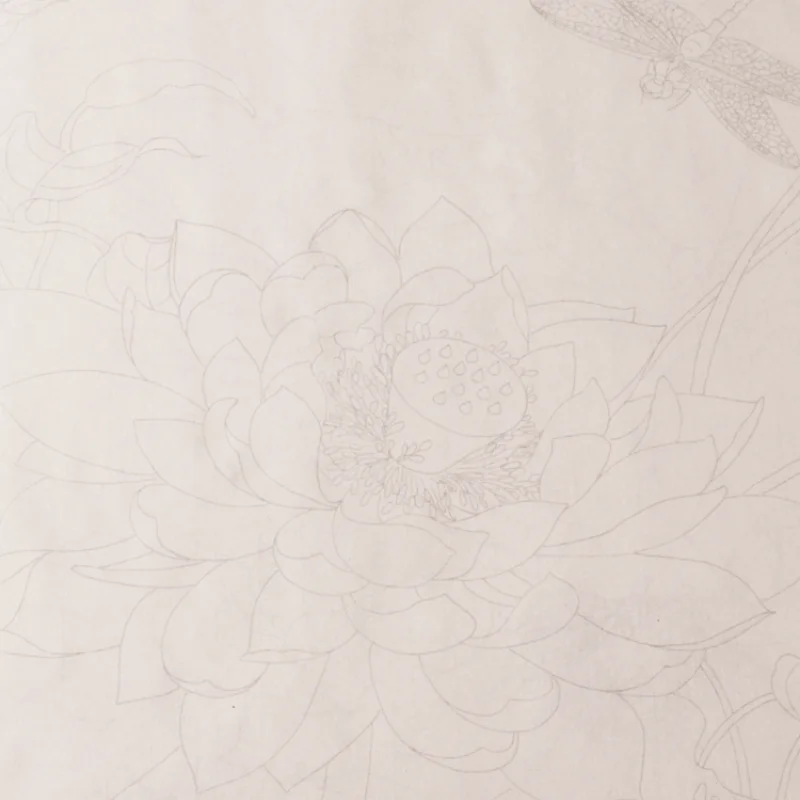 Meticulous Painting Line Drawing Draft Beginner Painting Copying Draft Chinese Flowers Birds Peony Characters Baimiao Drafts - immagine 4