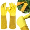 1 Pair Long Thorn Proof Working Mitten Breathable Leather Garden Gloves with Forearm Protection Floral Gauntlet Best Garden Gift 1