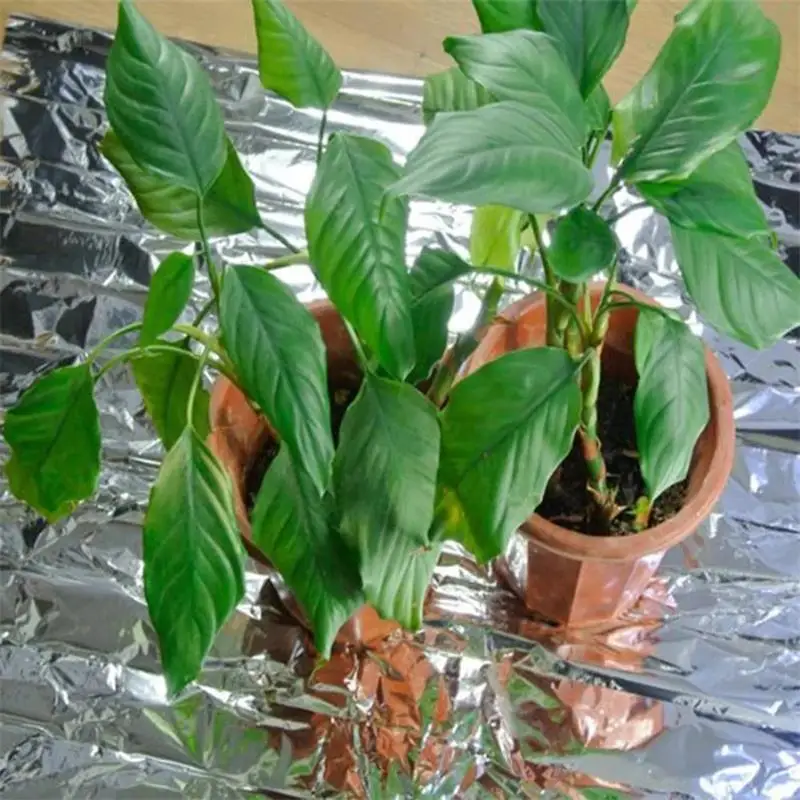 Polyester Film 1pc Silver 210x130cm High Reflective Used For Planting Tent Room Garden Greenhouse Agriculture Promoting