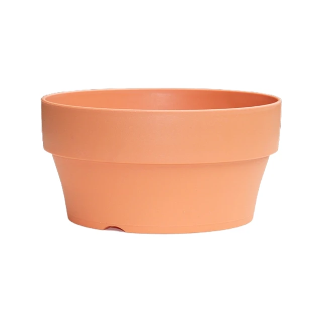 12cm