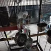 Pet Bird Parrot Toys 4 Stainless Steel Pots String Bird Chewing Bite Toys Acrylic Cage Accessories Pets Birds Supplies 6