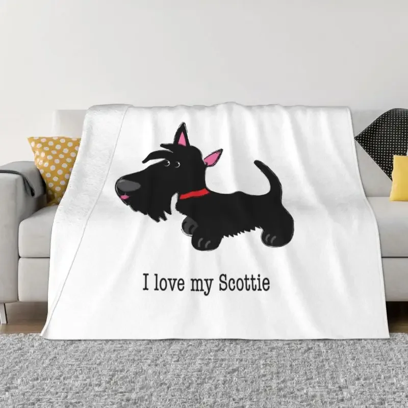 ��Ƽ�� ��īƼ ������ ���, ������ �ö���, ����Ƽ�� �׸���, �ֿ� ���� ������ ���, ħ�� ���� ħ�뺸