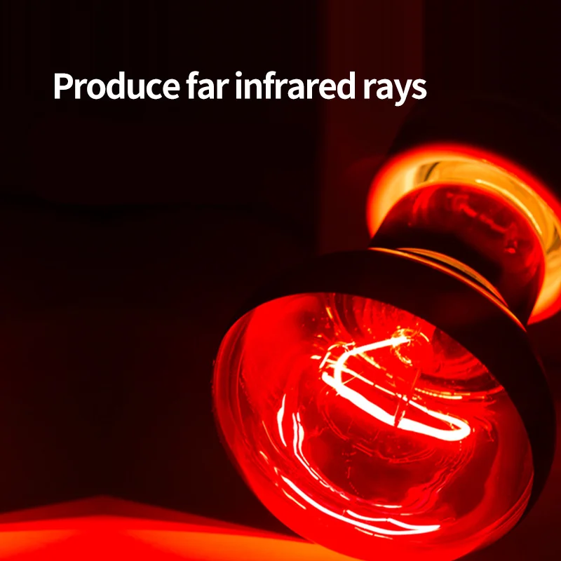 Reptile Heat Lamp Bulb Turtles UVA Basking Lamps Lizards Snakes Reptiles Infrared Lamps Terrarium Supplies 35W 50W 75W 100W