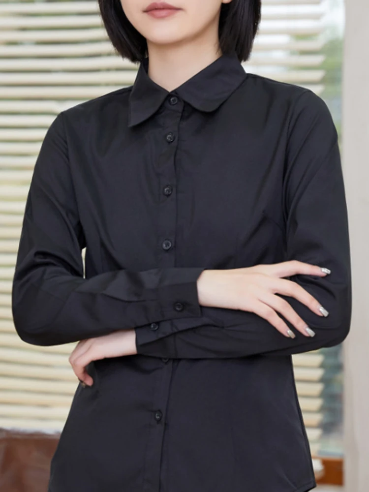 Women's Turn-Down Collar Long Sleeve Blouse - Office Lady Slim Fit