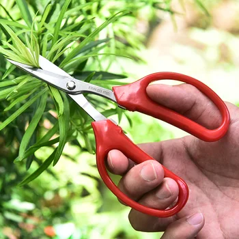 Whosesale Stainless Steel Fruit Grape Scissors Clipper Red PP Comfort Handle Pruning Shears Gardening Tools for Bonsai Flowers