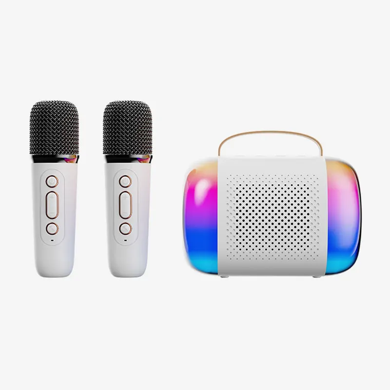 Basix Microphone Speaker Karaoke Machine Portable Bluetooth 5.3 with 2 Wireless Microphones Home Family Singing Children's Gifts