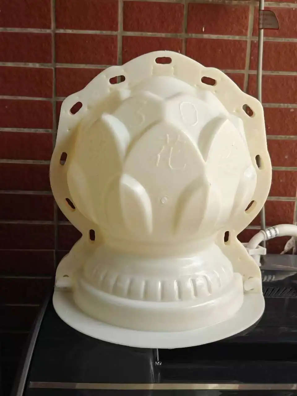 European Style Flowering Bulb Cement Mold 5