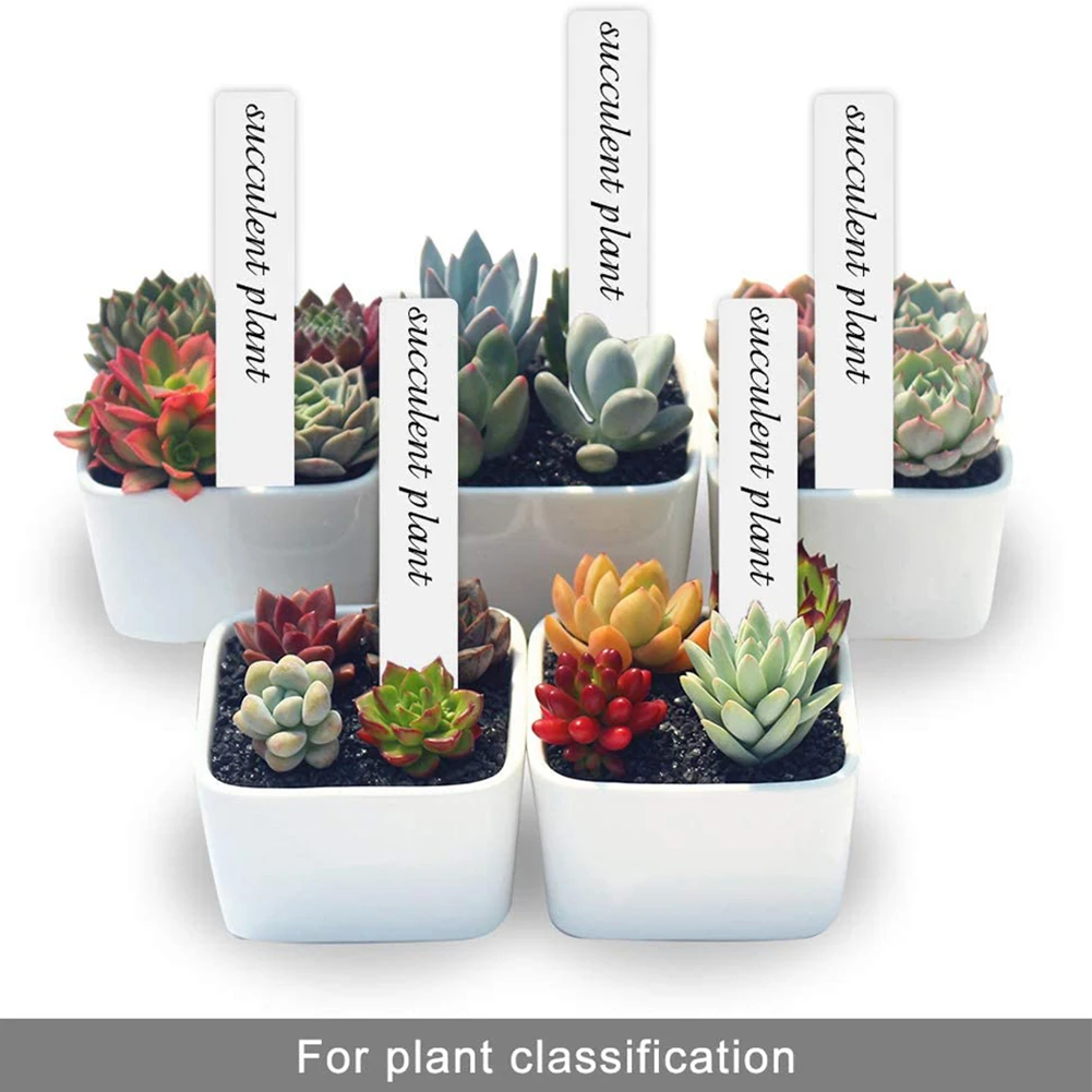 

Name Plant Label Herbs Labels Marker Nursery Plant Plastic Set Small Supplies 100pcs Tags 5*1cm Waterproof Garden