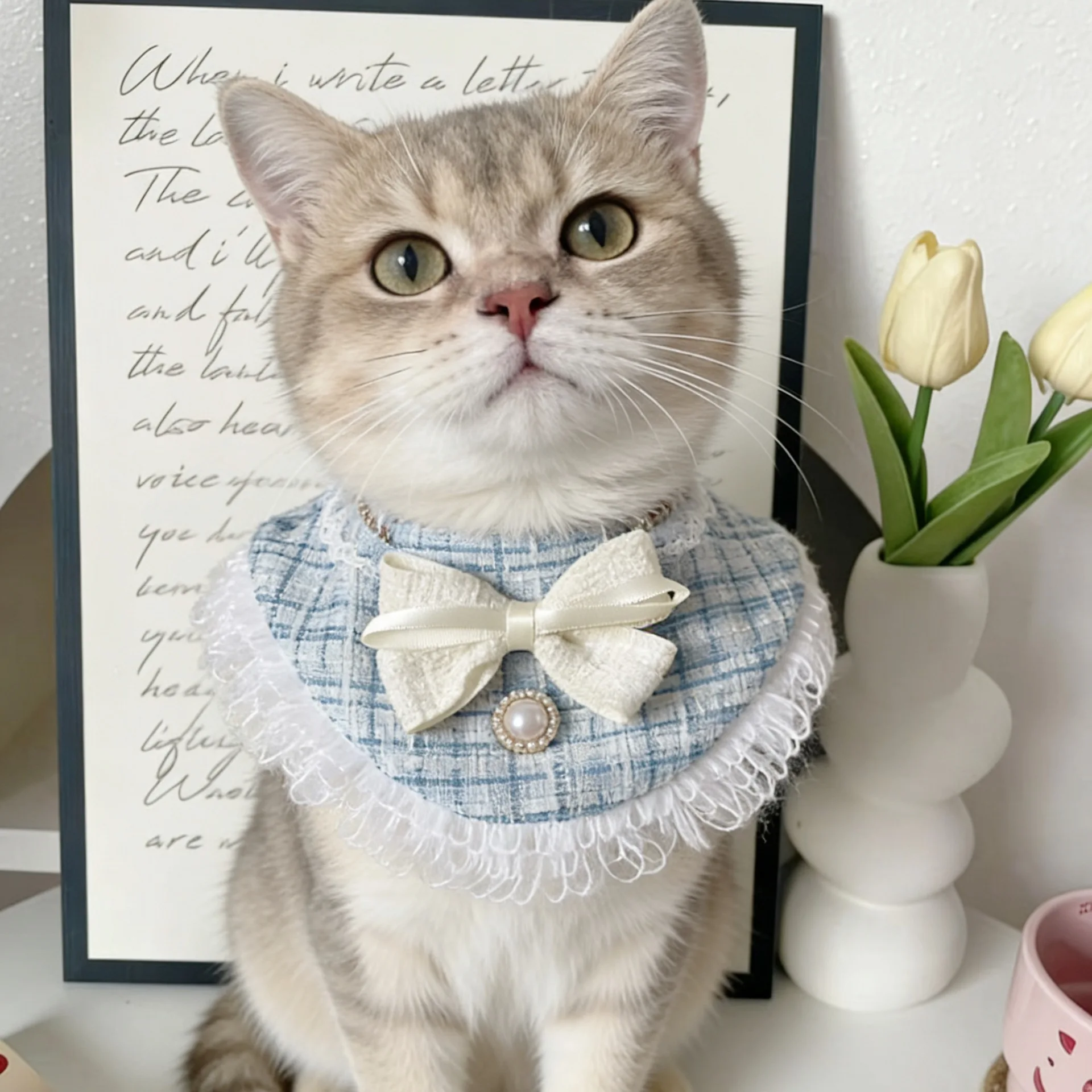 Conjunto de bandana babador para cães pequenos e gatos_voghion.com