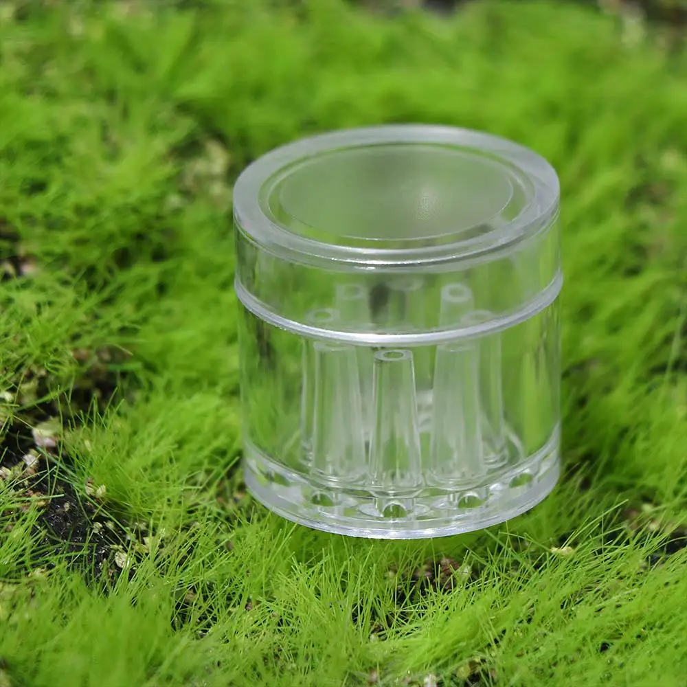 8 Hole Planaria for Fish Tank Aquarium Cleaner aquarium decoration