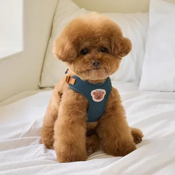 Cute Bear Pet Harness Set 1