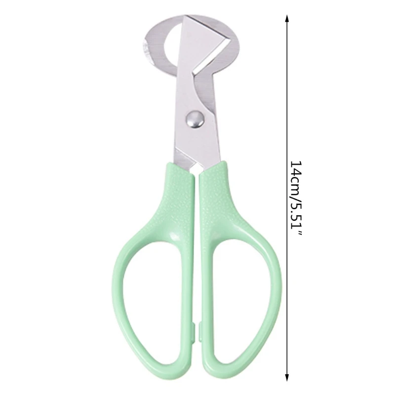 Quail Egg Cutter 10pcs for Pigeon Bird Quail Egg Opener Kitchen Shears Tool 20CC
