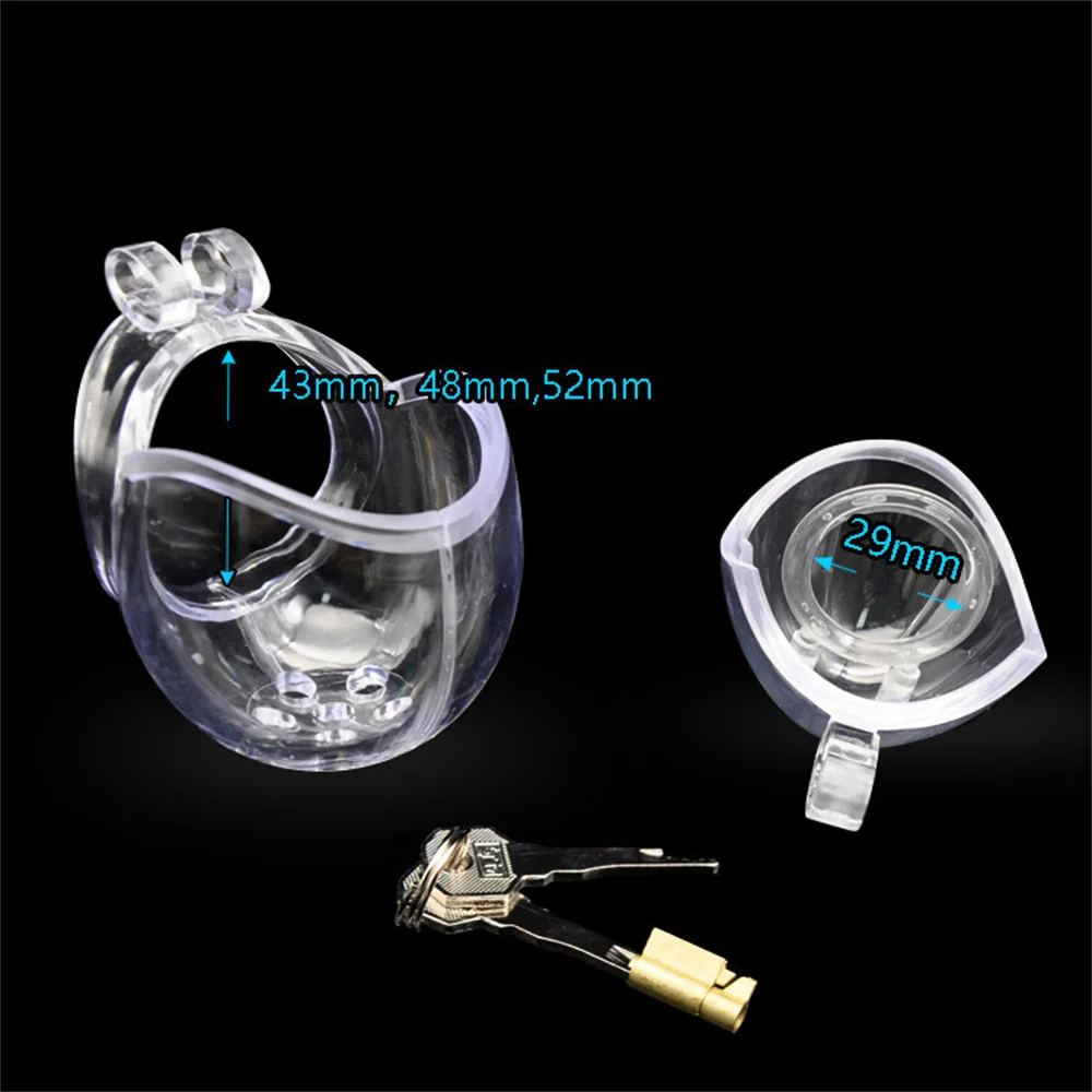Detachable Bondage Egg Type Male Chastity Cage With Barbed Ring Scrotal Ball BDSM Chicken Cage Penis Stretcher Abstinence SexToy