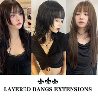 Extensions de cheveux synthétiques droites pour femmes avec frange superposée frange latérale postiche d'apparence naturelle pour un style polyvalent 6