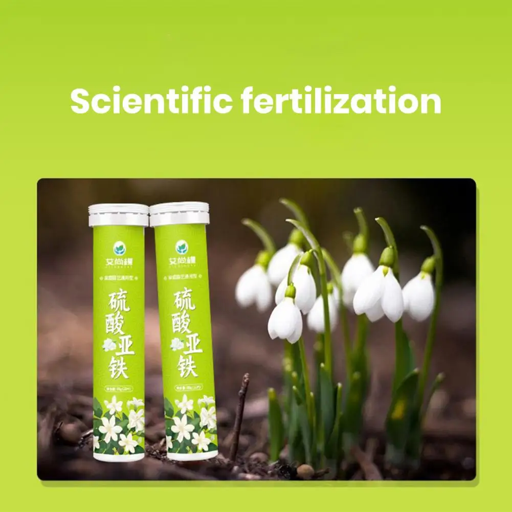 Gardening Nutrient-rich Fertilizer Universal Slow Release Ferrous Sulfate Fertilizer Tablets for Optimal Growth of for Greenery plant compound fertilizer
