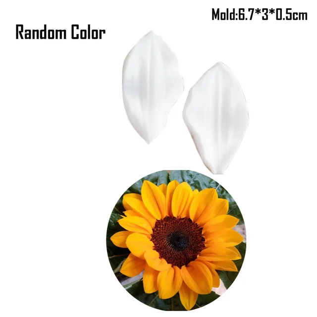 Random Color C