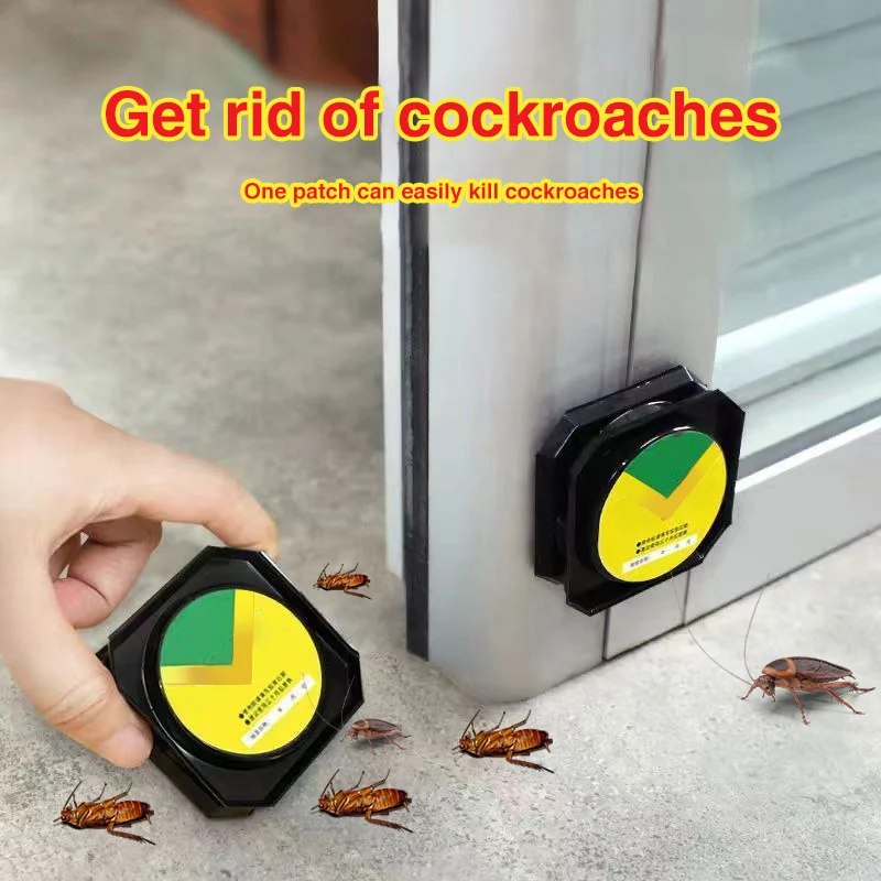 Bait Tool for Eliminating Cockroaches and Fleas