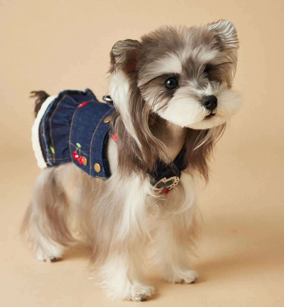 Sleeveless Cowboy Vest for Dogs, Tony Bears Dog Tank Top, Teddy, Schnauzer Bears, Marquis, Love, Spring, Summer, New